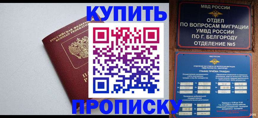 прописка регистрация в Рубцовске